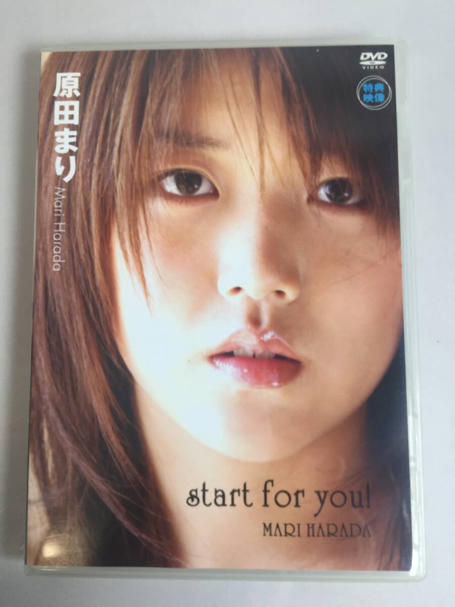 a-656 DVD セル版 原田まり Start for you イーネットフロンティア グラビア アイドル イメージビデオ