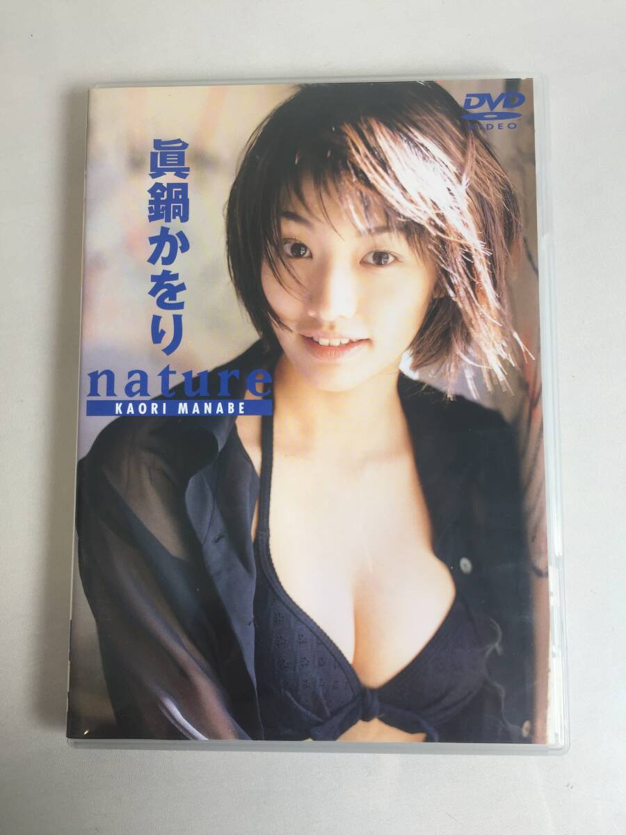 a-264 DVD セル版 真鍋かをり nature ベガファクトリー トールサイズ グラビア アイドル イメージビデオ