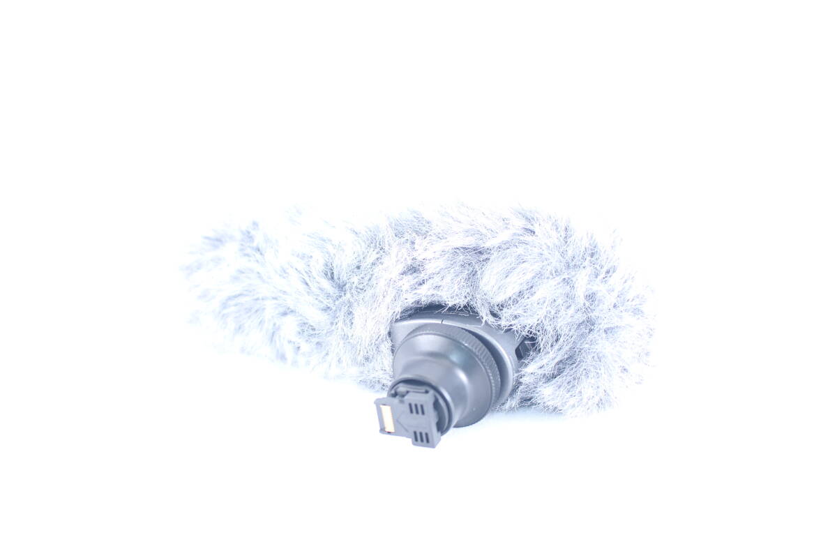 ★極上美品★キャノン CANON DM-100 ステレオマイクロホン★完動★#H673