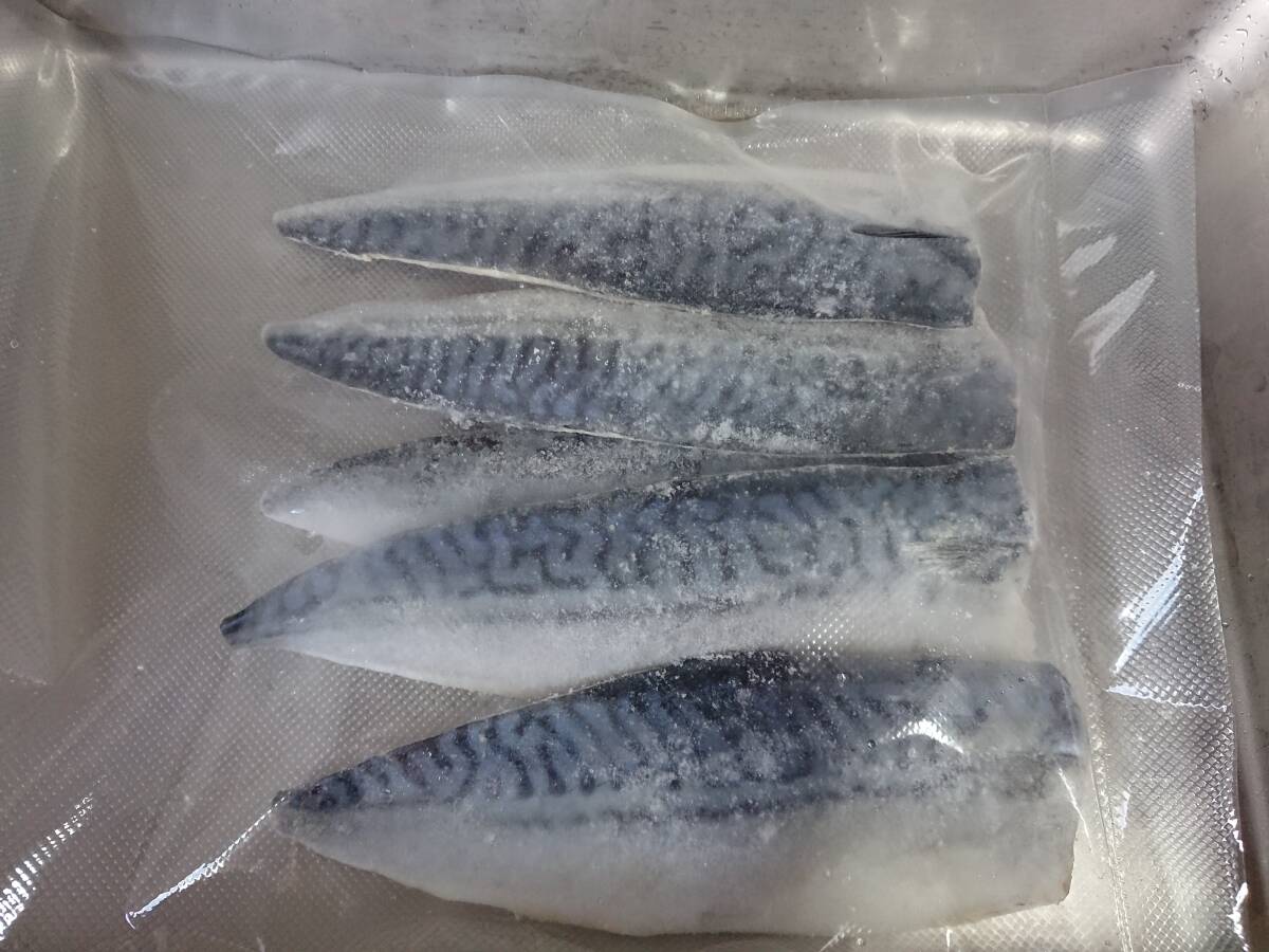 ☆脂たっぷり・骨なし♪*　大人気　ノルウェー産　塩サバ（フィーレ）　５枚　　冷凍