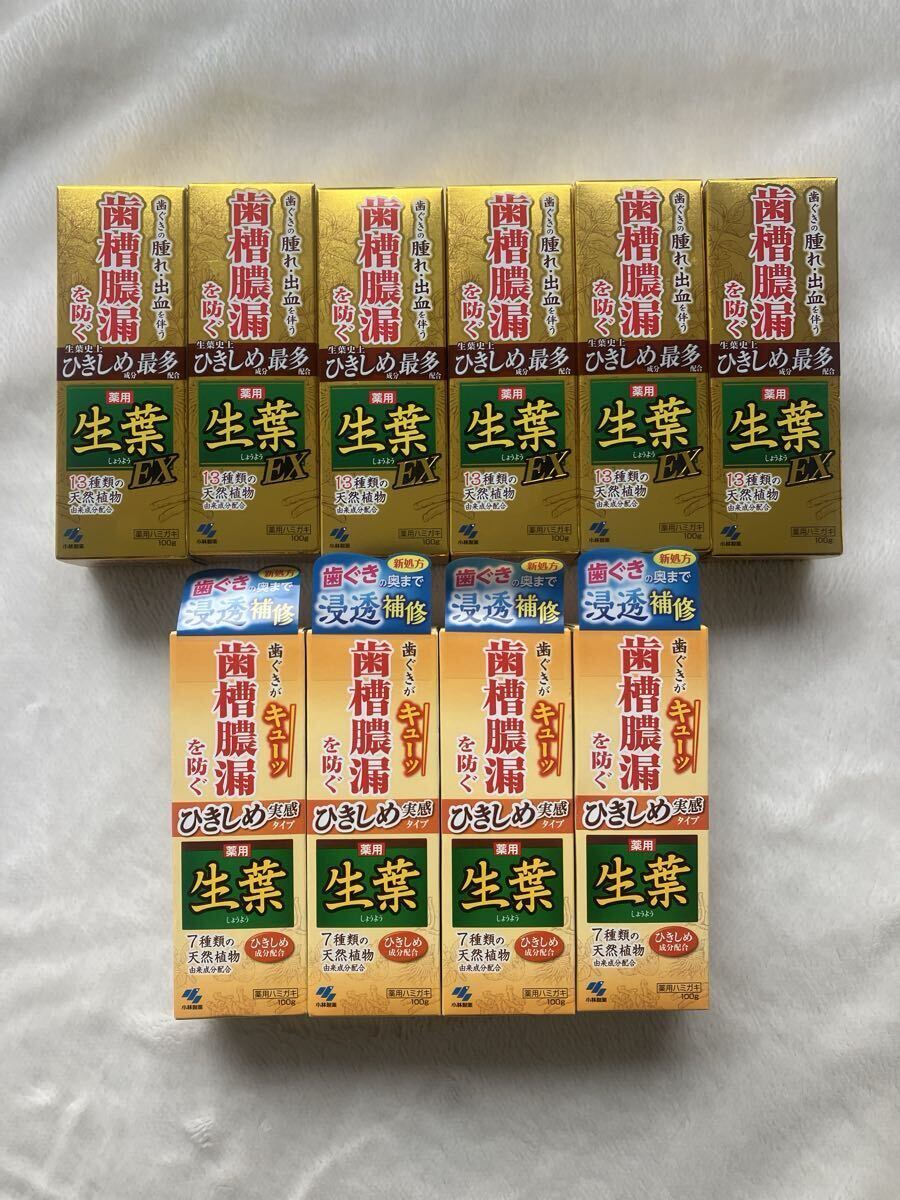2026年購入　送料600円　 小林製薬 生葉EX ひきしめ実感タイプ 薬用ハミガキ 歯槽膿漏を防ぐ 歯磨き粉 生葉　10本