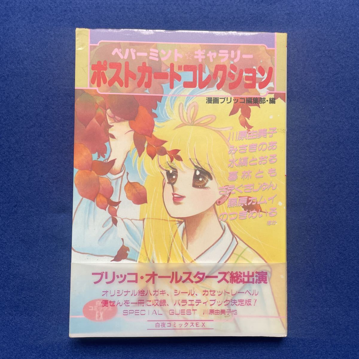 ポストカードコレクション◇ペパーミントギャラリー◇漫画ブリッコ◇1985年2月1日初版発行◇川原由美子◇みさきのあ◇暮林とも