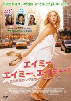 再生確認済レンタル落ち DVD「エイミー、エイミー、エイミー！こじらせシングルライフの抜け出し方」送料 140/185/190/210/230 円