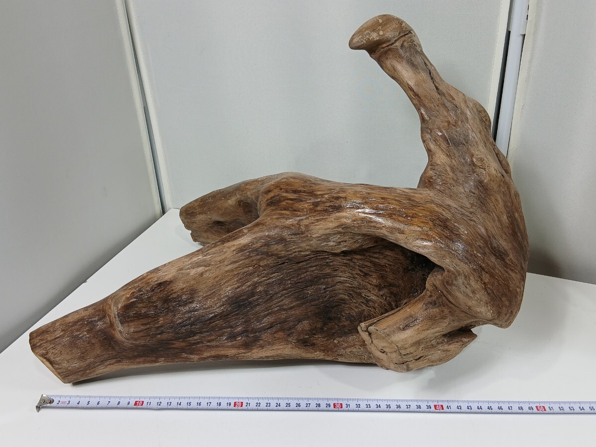 #1755 流木 インテリア 古木 50cm程 置物 オブジェ/和歌山県にて引き取り大歓迎