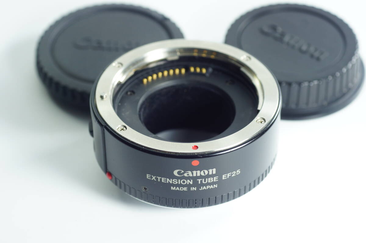 FOXHOME-01 キレイ Canon EXTENTION TUBE EF25 接写 中間リング キヤノン キャノン エクステンションチューブ EFマウント