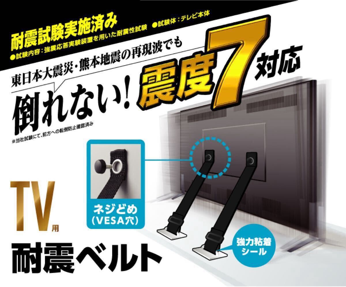 エレコム TV用 耐震ベルト ～40V用 ネジどめタイプ(VESA穴) 2本入 TS-005 固定器具 長さ調整可能 地震対策 転倒防止 防災用品 取り付け簡単