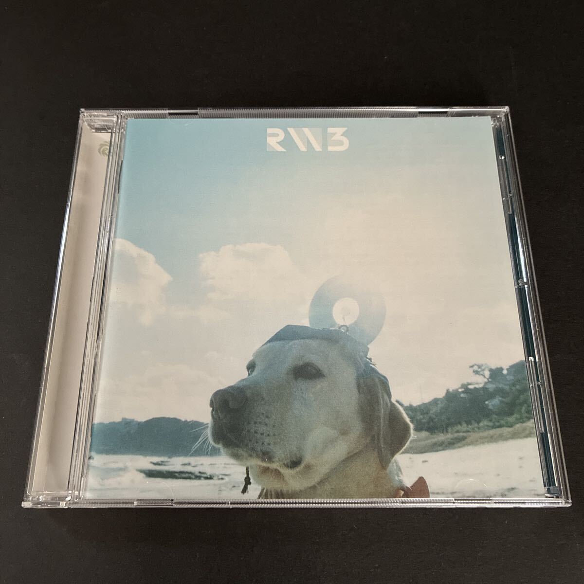 WY10 RADWIMPS3 ラッドウィンプス RADWIMPS 無人島に持っていき忘れた一枚 CD アルバム