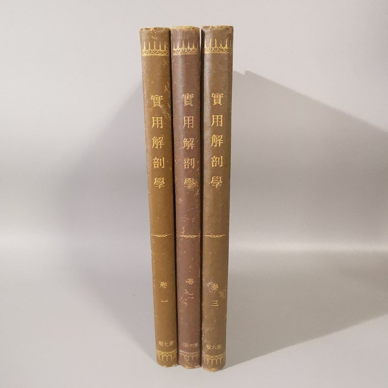 古書 実用解剖学 骨学 靭帯学 筋学 今田束 明治20年刊行 3巻セット Z8485