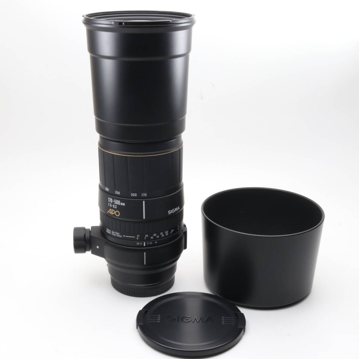 シグマ 170-500mm F5-6.3 APO DG ソニー用