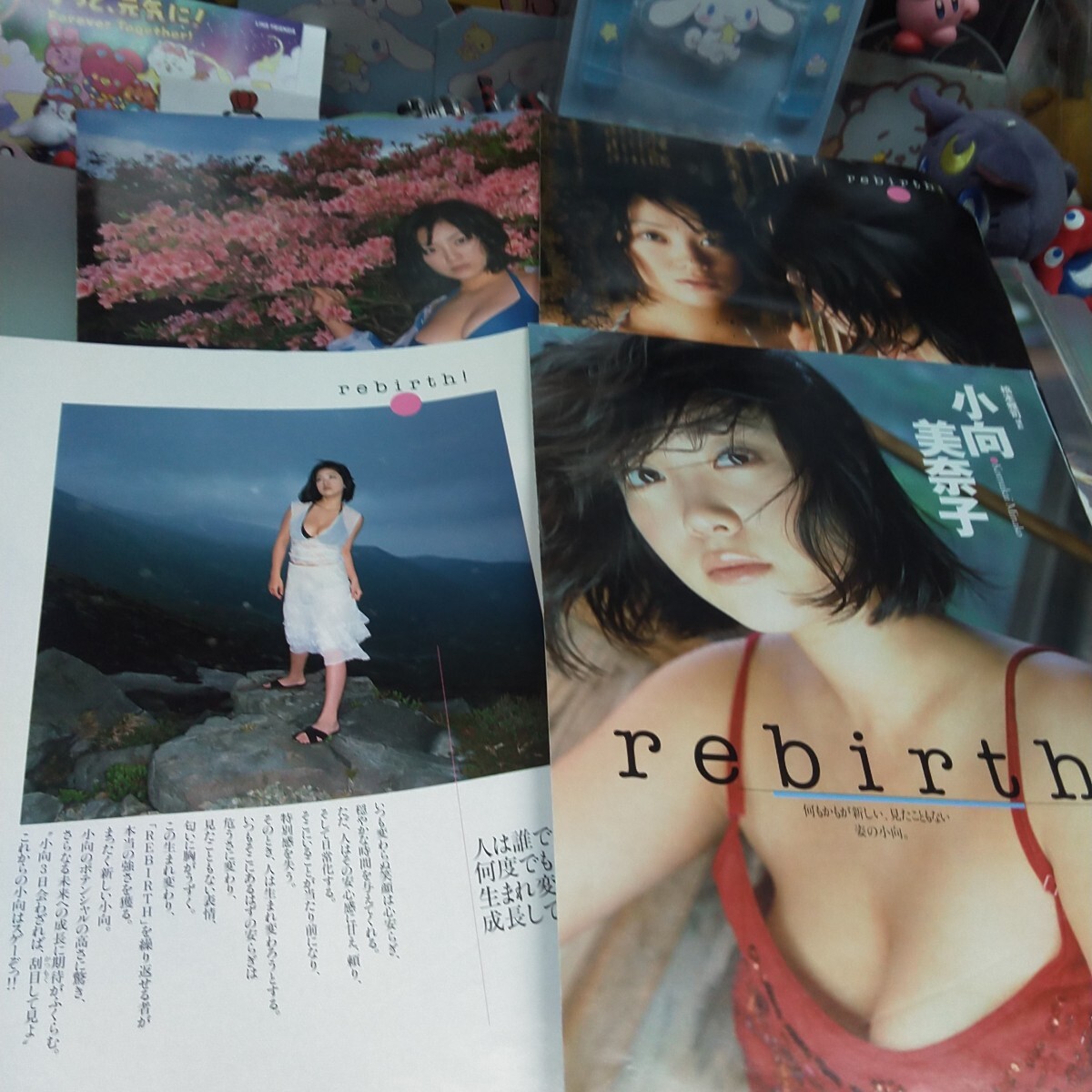 切り抜き　その61　小向美奈子　7ページ　　　