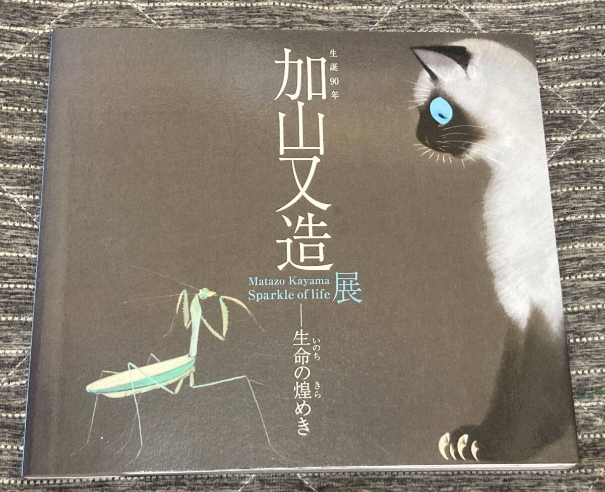 生誕90年　加山又造展　生命の煌めき