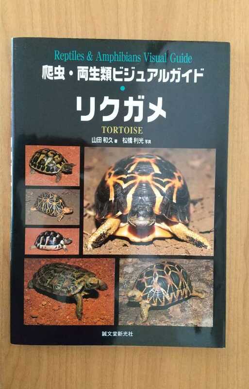 リクガメ 爬虫類 両生類 ビジュアルガイド TORTOISE 誠文堂新光社 ペット 飼育 本
