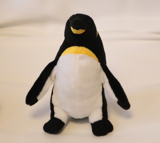 カワイイ！美品！水族館で購入★ ペンギン penguin ★ ぬいぐるみ ★高さ約19cm★