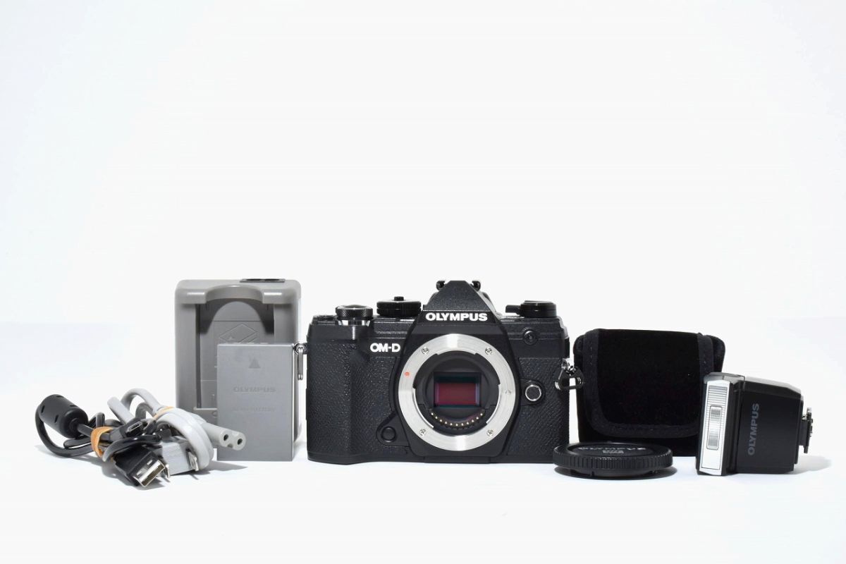 [美品] Olympus オリンパス OM-D E-M5 Mark III ミラーレス一眼カメラ #2801310