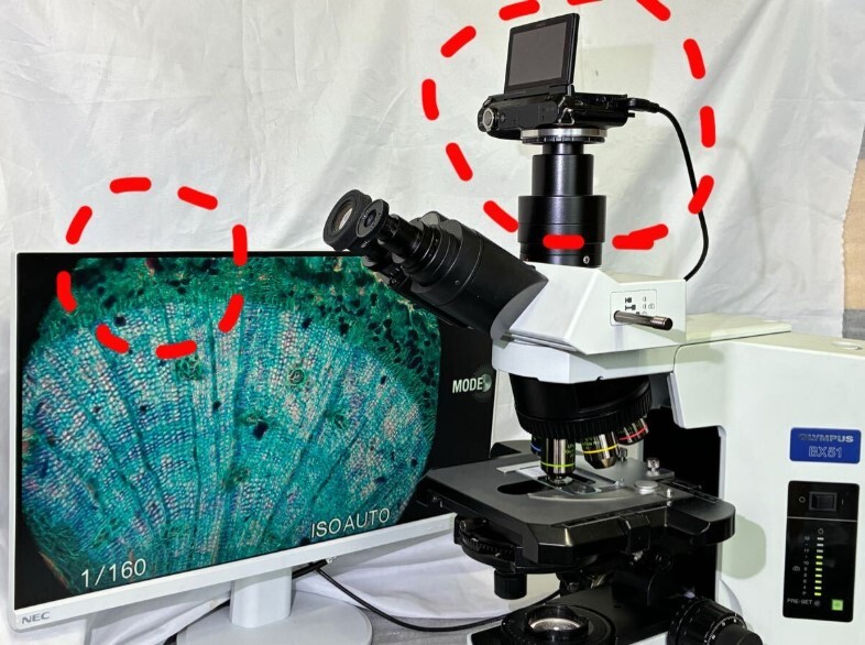 OLYMPUS 顕微鏡用　カメラアダプタ＋SONY1600万画素ミラーレスデジカメ+ACアダプタ+大型モニタ
