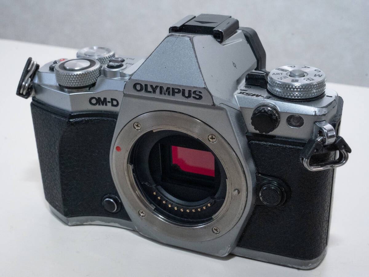 OLYMPUS OM-D E-M5 Mark II ボディシルバー オリンパス ミラーレス一眼 マイクロフォーサーズ 送料無料