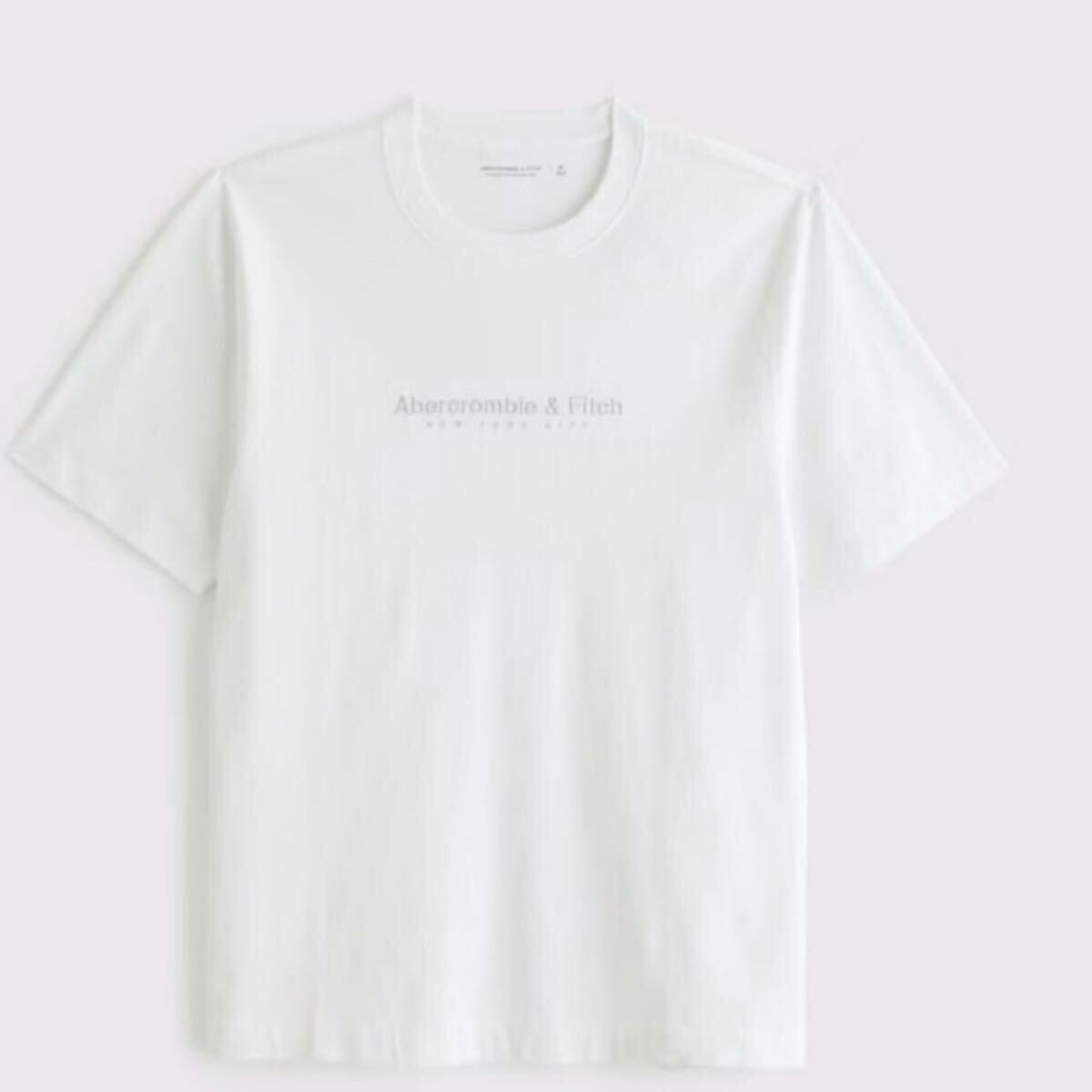新品タグ付き★アバクロメンズの刺繍ロゴ Tシャツ★ホワイト★サイズM