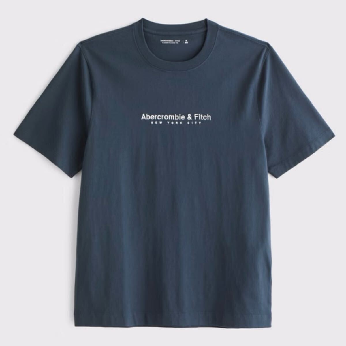 新品タグ付き★アバクロメンズの刺繍ロゴ Tシャツ★ネイビー系★サイズＬ