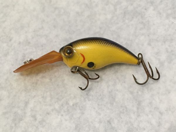 エバーグリーン ワイルドハンチ ブラウンバックチャート (A4)