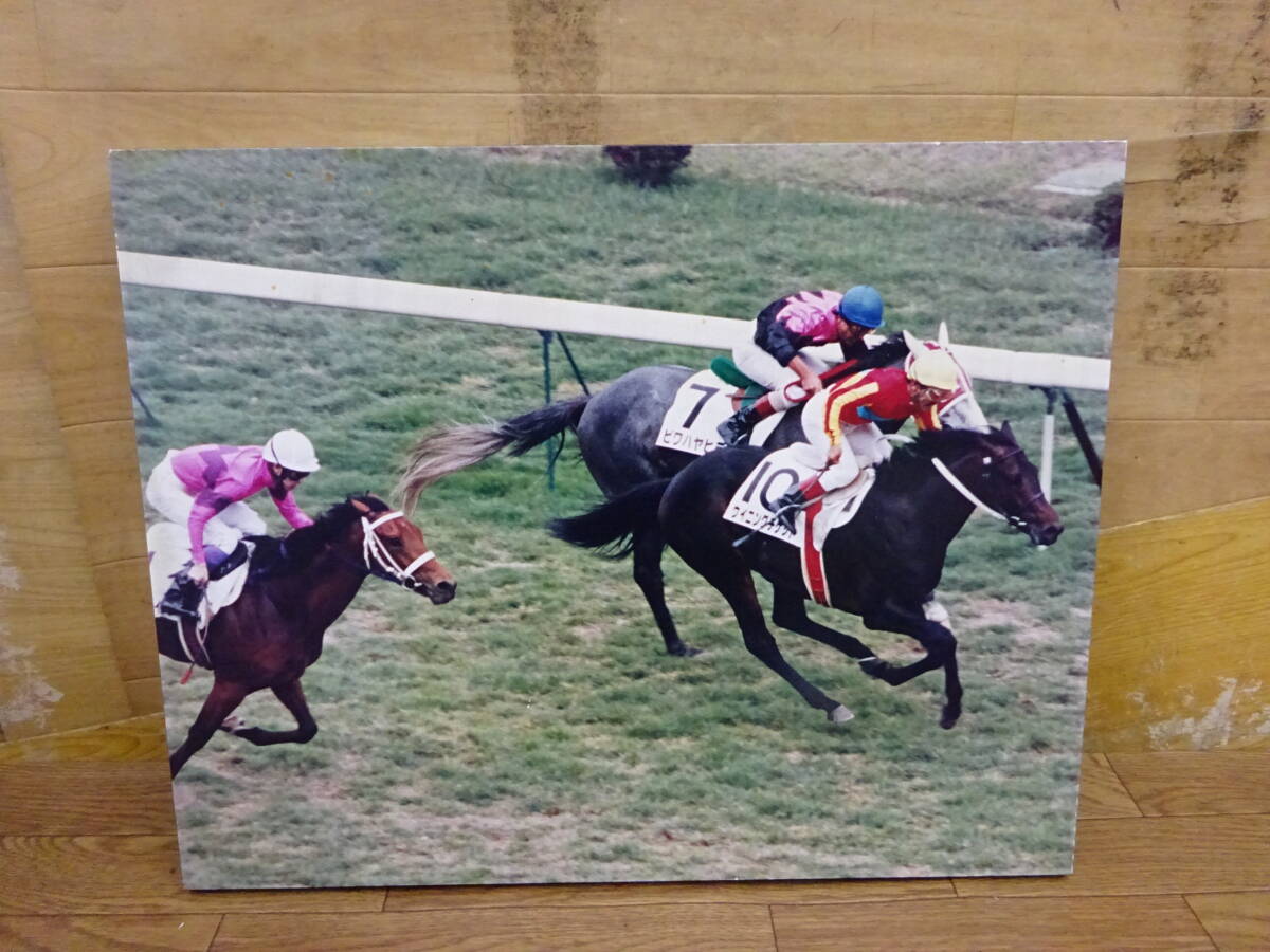 760、ウイニングチケット　ビワハヤヒデ　53cmx42㎝　前橋市から