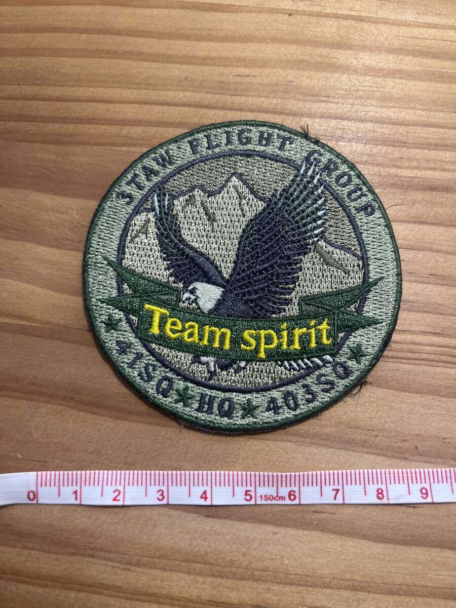 航空自衛隊 航空支援集団 第3輸送航空隊 第403飛行隊 第41教育飛行隊 ワッペン パッチ
