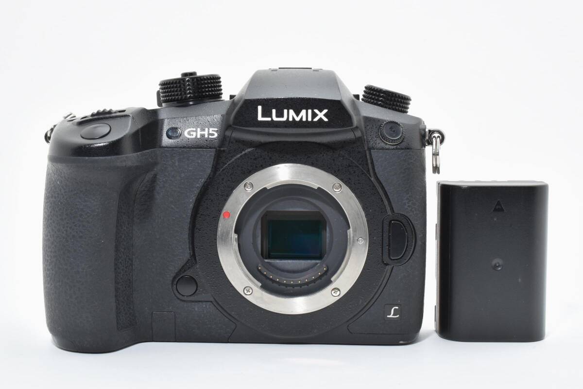 ★実用美品★パナソニック Panasonic DC-GH5 ボディ #2603370