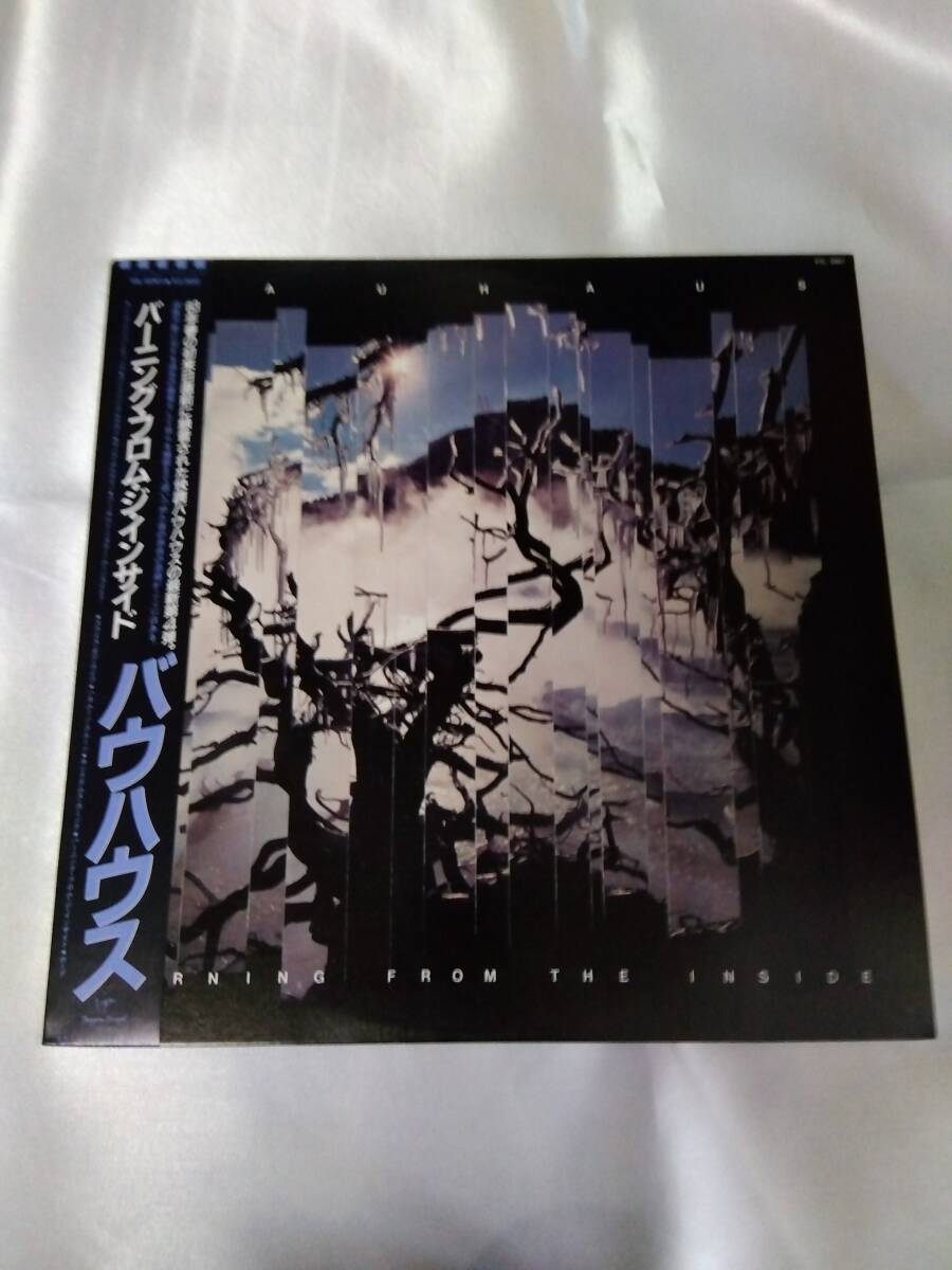 バウハウス 帯付き バーニングフロムジインサイド