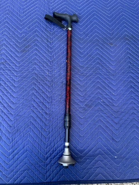 11-212 かるがも3ポイントステッキ ［バーズアイレッド］