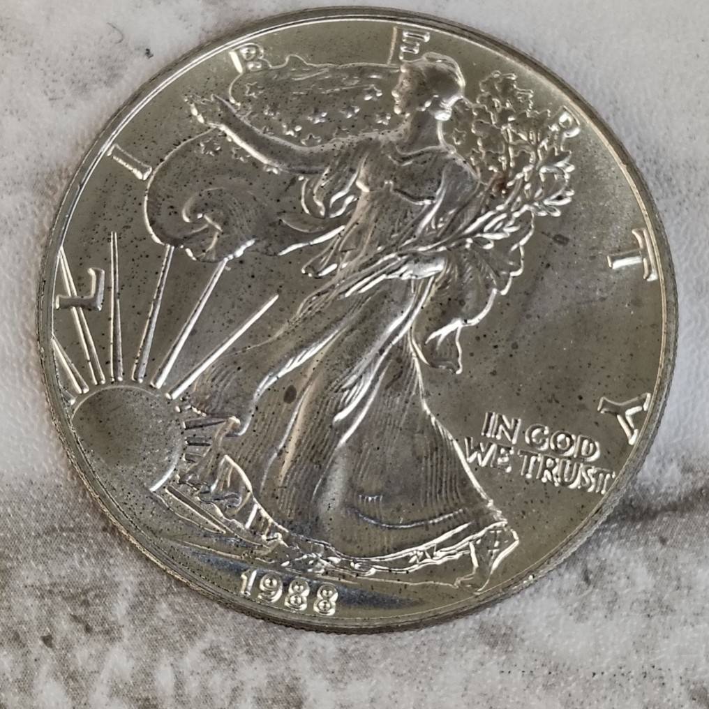 【TM0317②】外貨 海外 アメリカ イーグル銀貨 SV1000 1oz 1ドル 約31.1g コレクション 銀貨