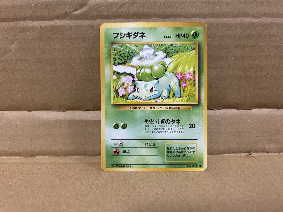 ポケモンカード　　旧裏 フシギダネ