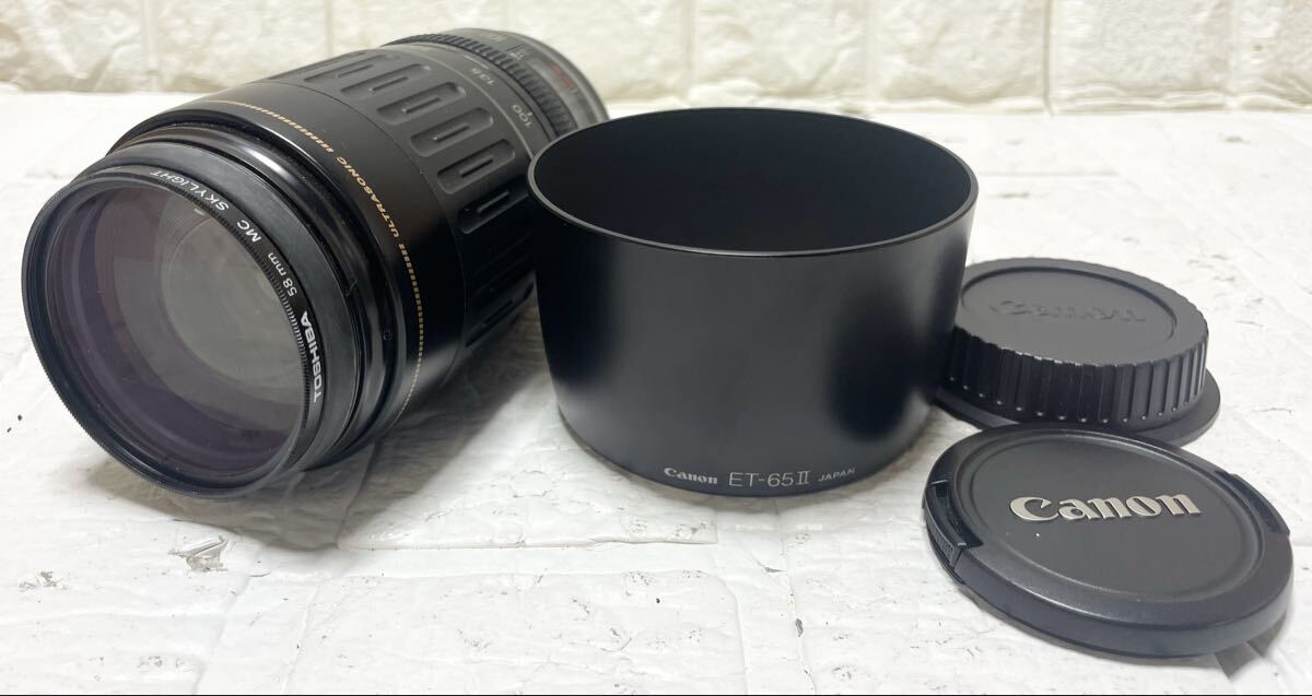 Canon ZOOM LENS EF 100-300mm 1:4.5-5.6 ET-65Ⅱ レンズ 17