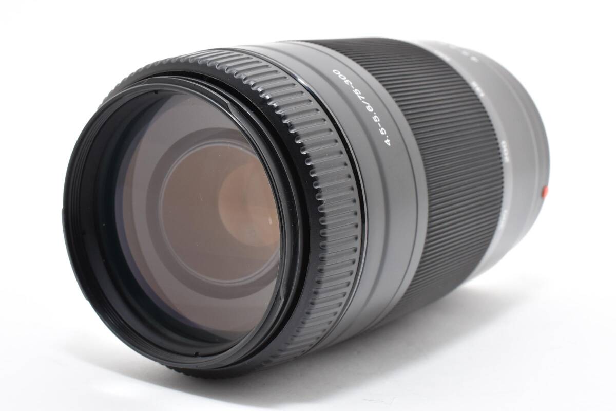ソニー SONY 75-300mm F4.5-5.6 SAL75300 #21980