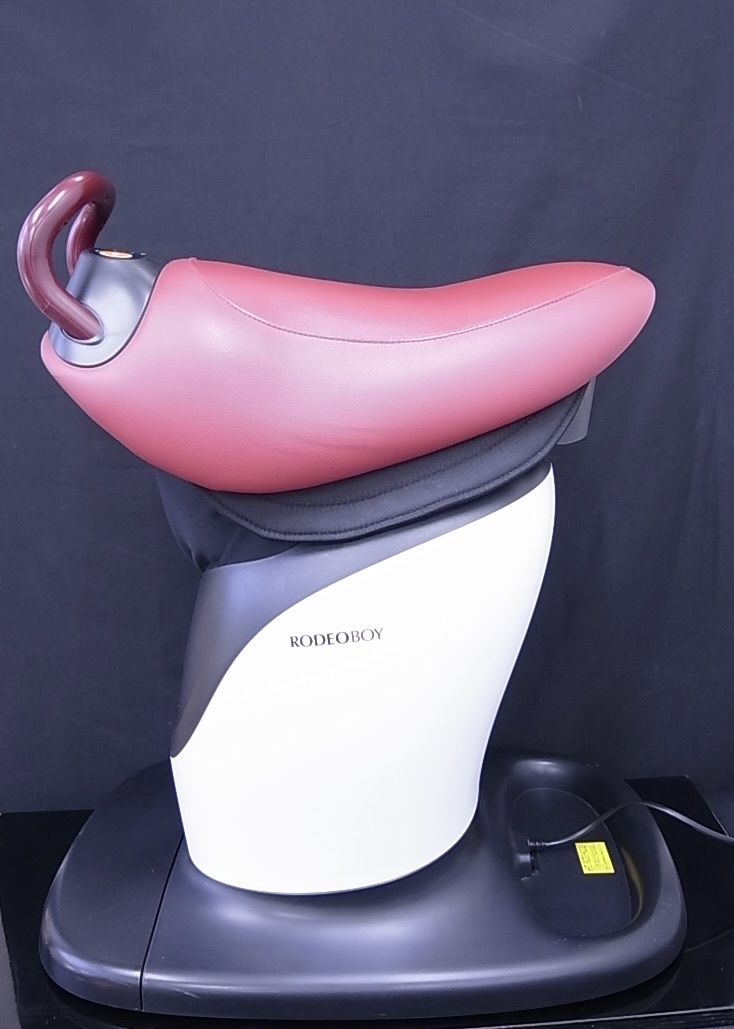 ★☆引き取り限定 動作確認済み THRIVE スライヴ RODEO BOY ロデオボーイ FD-017 健康器具 室内でエクササイズ☆★
