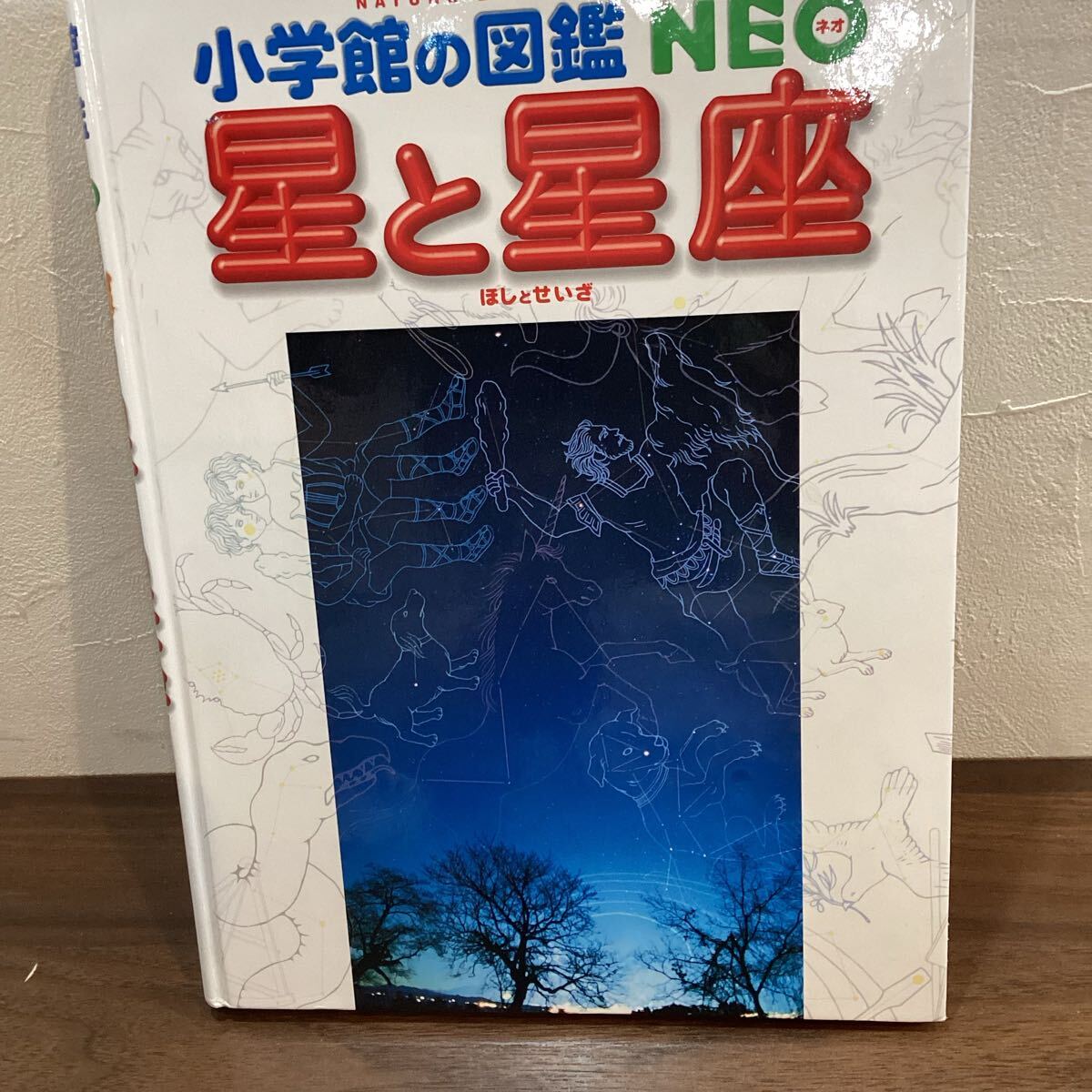 小学館の図鑑　NEO 星と星座【12889】（3）