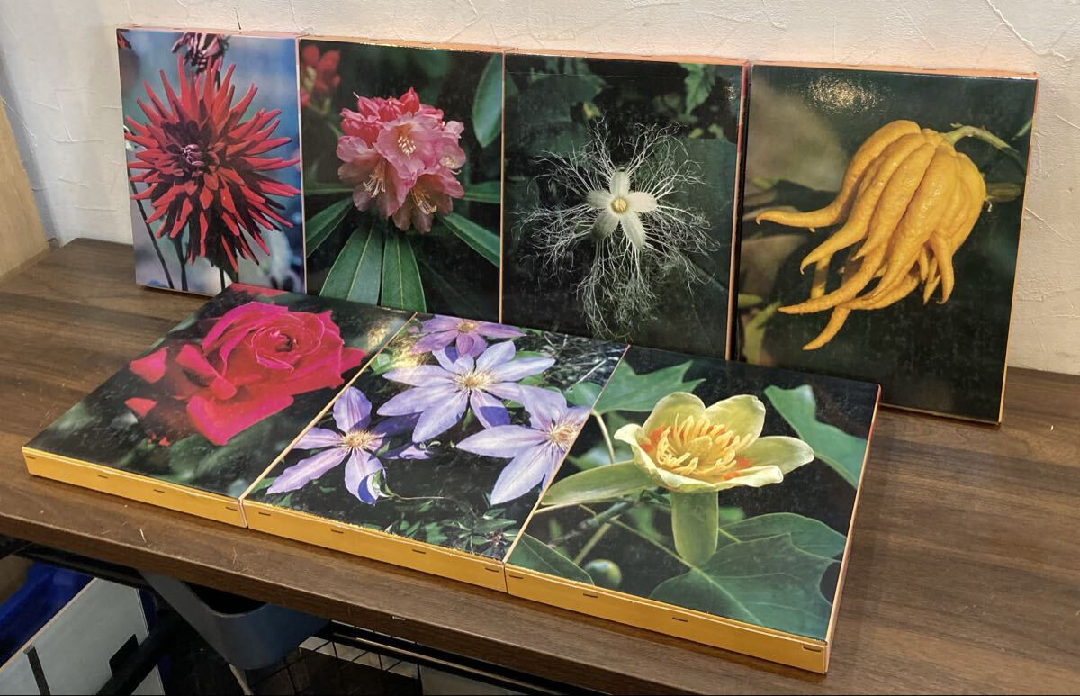 朝日百科 世界の植物 1巻〜7巻セット 図鑑 植物 【11712】(3)