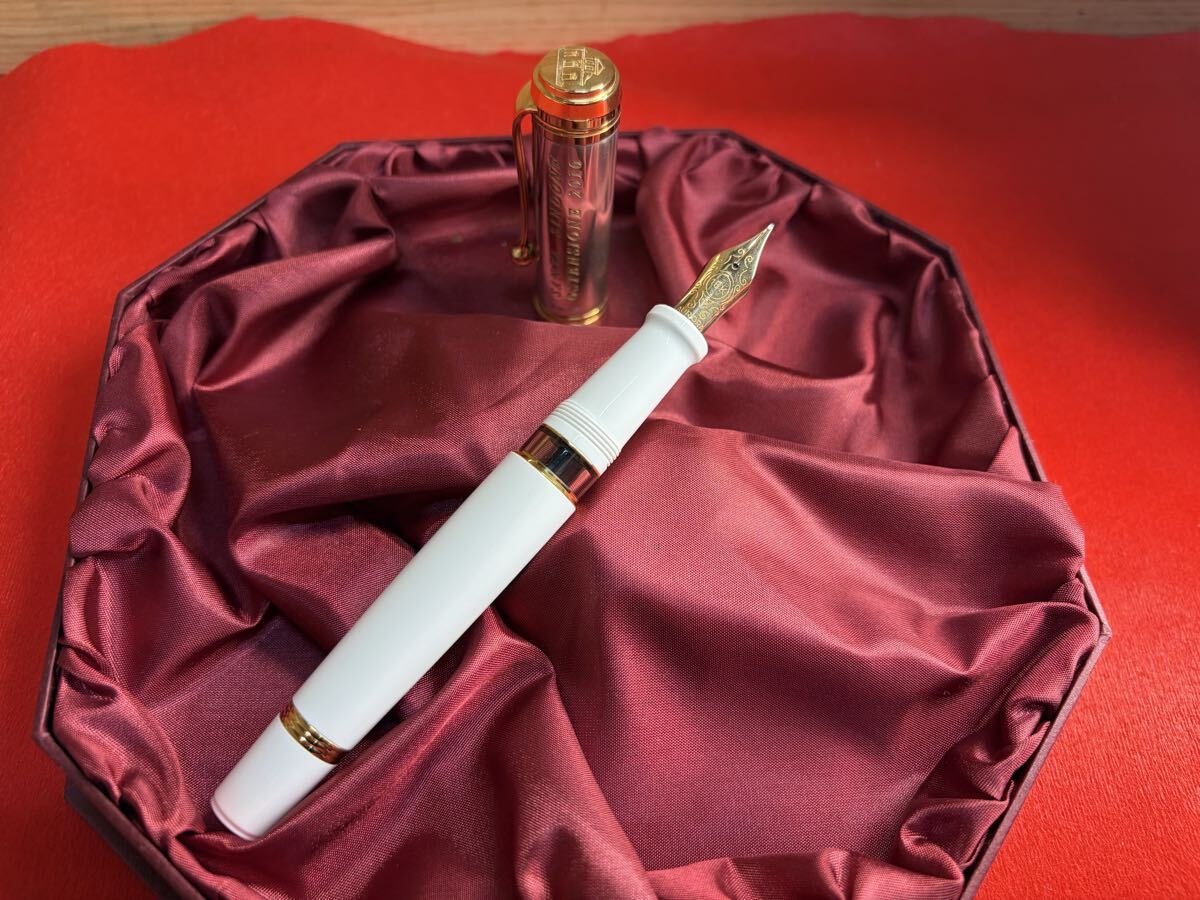 【J009】AURORA アウロラ 万年筆 リミテッドエディション 限定 210本 シンドーネ ソリッドシルバーキャップ M