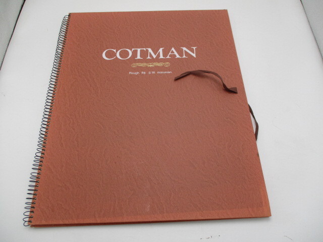 ★☆COTMAN　コットマン水彩紙　230ｇ　Ｒｏｕｇｈ　Ｆ6　16枚　未使用☆★