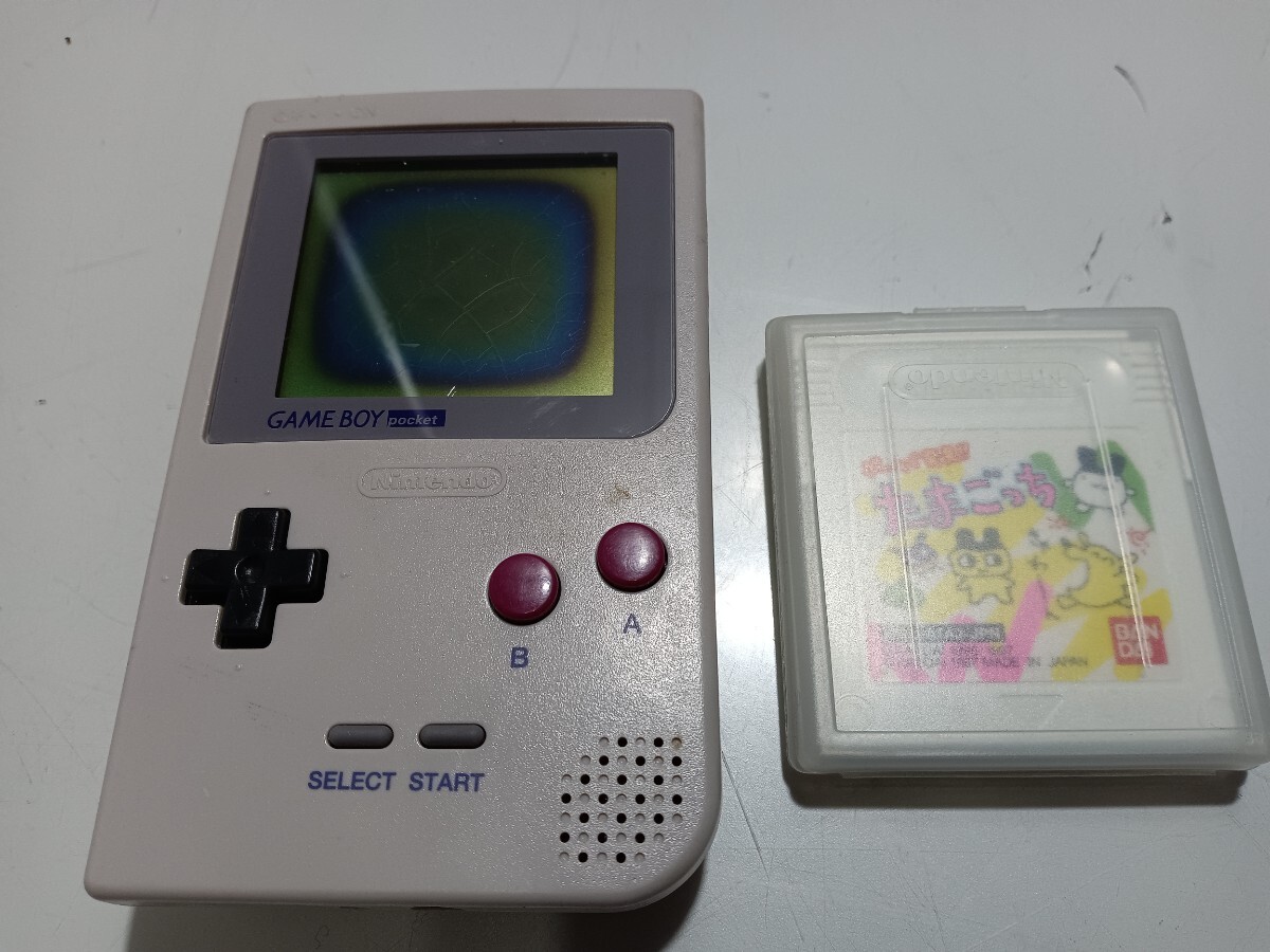 65192 GAMEBOY＆ソフト1点 NINTENDO/任天堂 液晶難あり 動作・通電未確認 ゲームボーイ〈自宅保管品〉