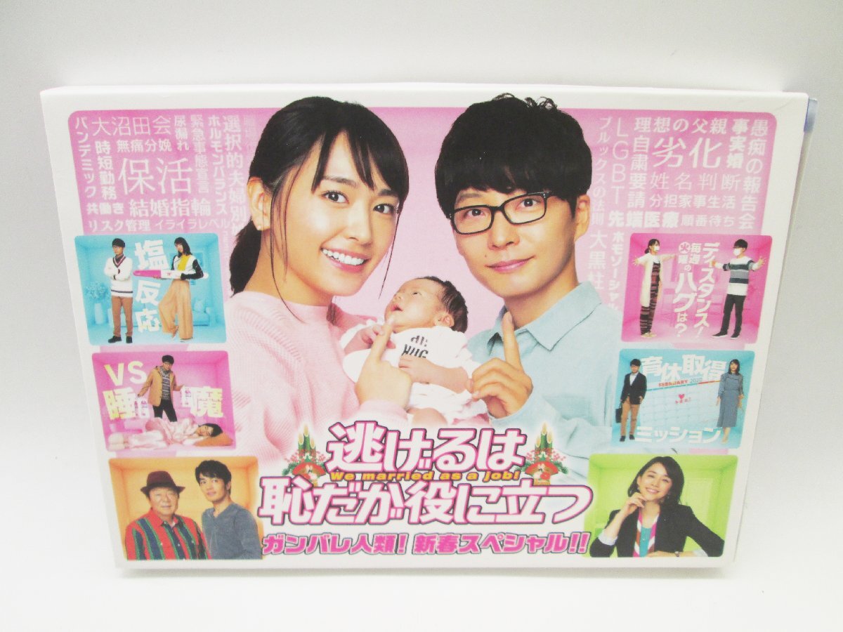 ■逃げるは恥だが役に立つ ガンバレ人類! 新春スペシャル! ! DVD 逃げ恥 新垣結衣 星野源 大谷亮平 富田靖子 古田新太 石田ゆり子■/A