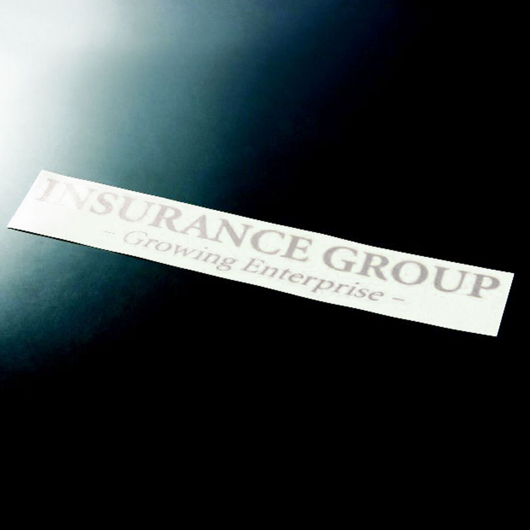 超貴重☆INSURANCE GROUP　ブランドステッカー　シルバー　1枚　インシュランスグループ　VIP　切り文字 | 切文字 | 新品 | 送料無料