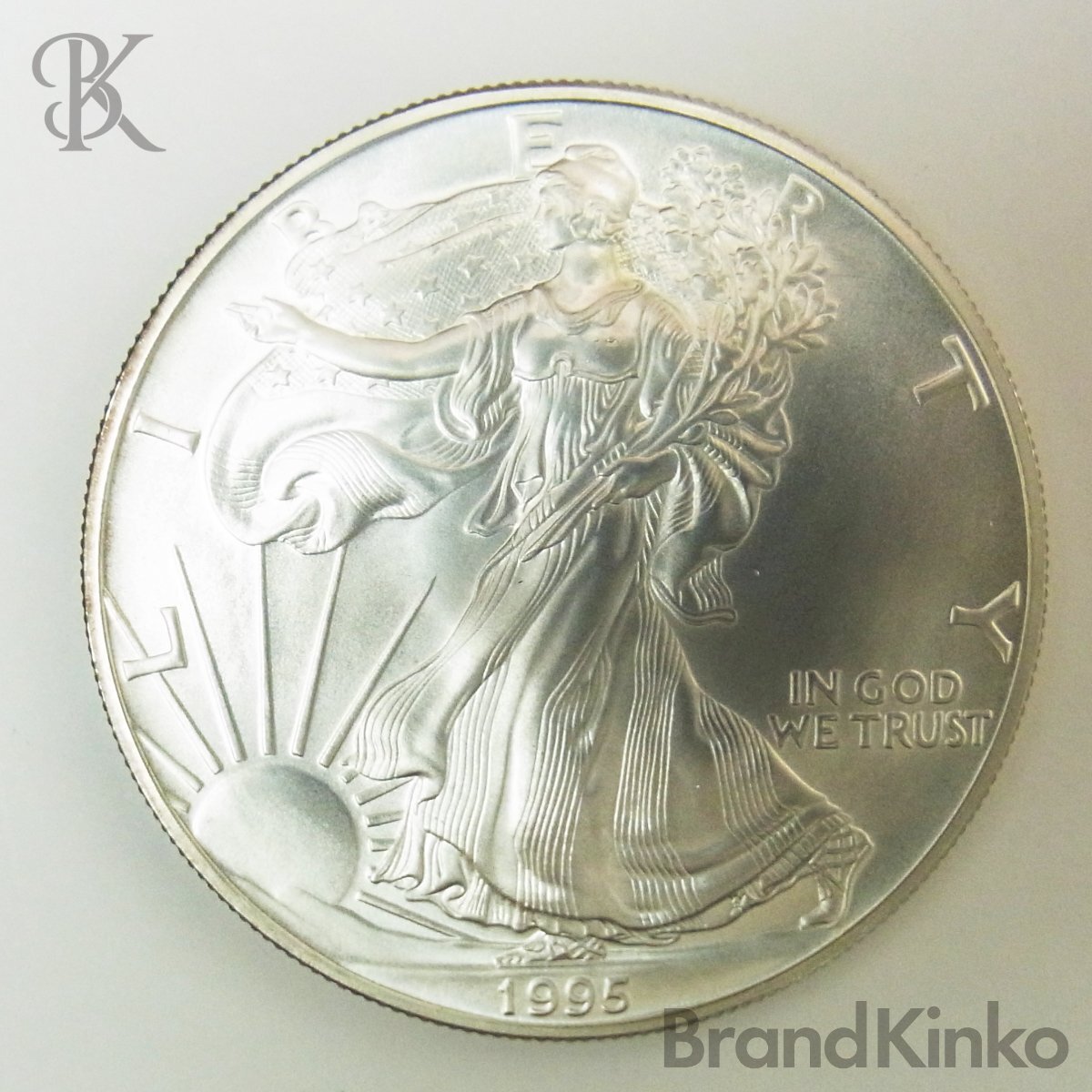 1995年 アメリカ シルバー イーグル 銀貨 1oz 総重量：約31.6g ■