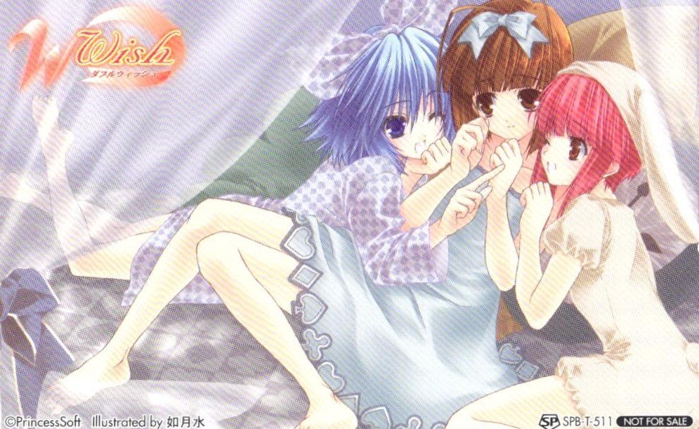 ★W～ウイッシュ～　如月水　プリンセスソフト　ソフマップ特典　非売品★テレカ５０度数未使用hl_271