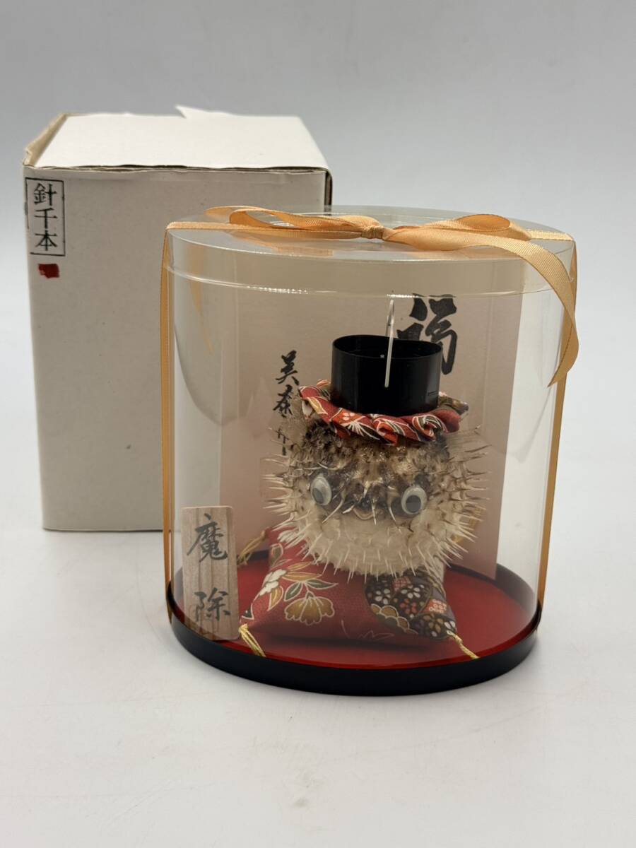 針千本 ハリセンボン 剥製 ふぐ提灯 魔除け 招福 ケース入 飾り物 伝統工芸 縁起物 和物 贈答品 インテリア 飾り 装飾 現状品 1122