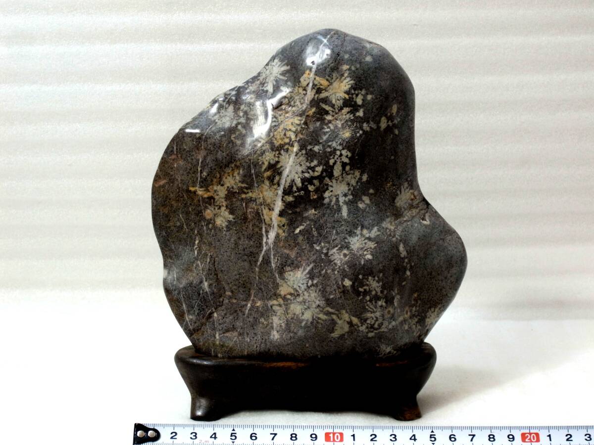 1★岐阜県 根尾産 白小花 菊花石 ３キログラム 木製台座付