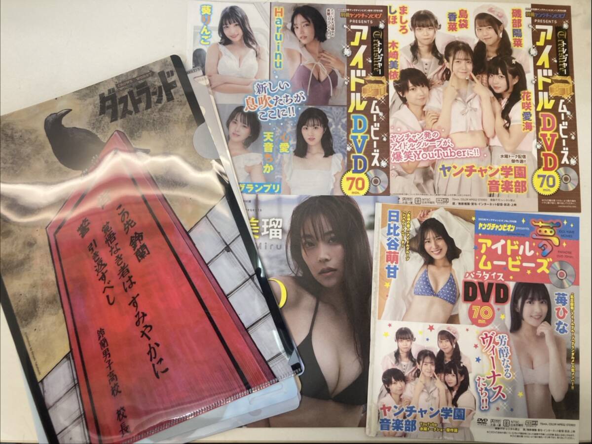 ヤングチャンピオン　グラビアアイドルDVD　クリアファイル　付録　他　おまとめ