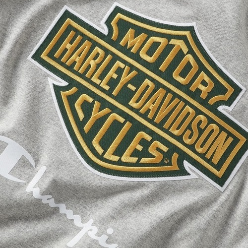 champion Harley Davidson 半袖 Tシャツ L GREEN コラボ 別注 限定 ハーレー ダビッドソン 刺繍 ワッペン 海外企画
