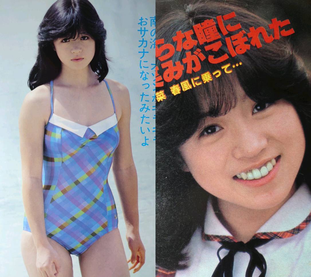 中森明菜 1982年〜1987年 レア　大量　切り抜き　ファイル　2冊　120P