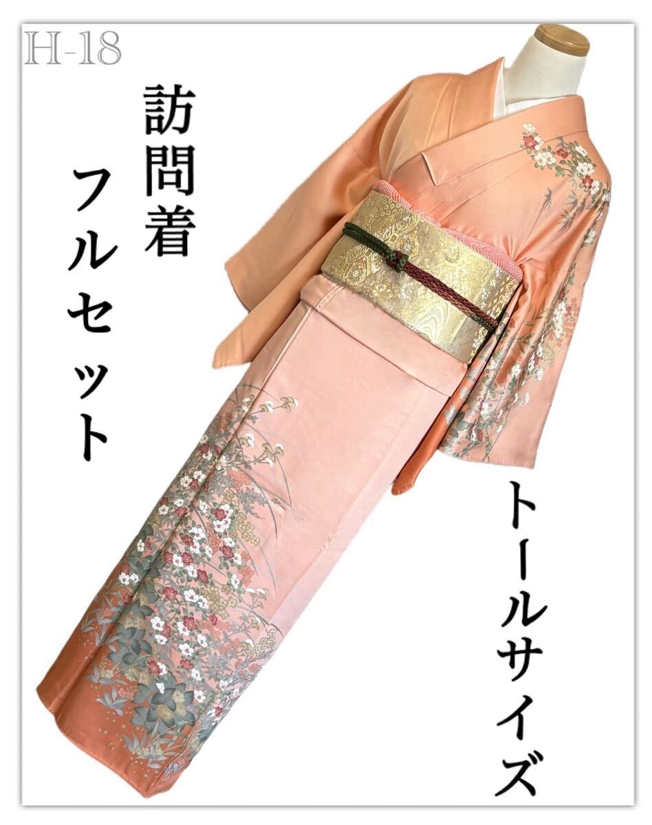 H-18◆着物 訪問着 フルセット◆暈し染め 金彩 正絹 拾◆トールサイズ ややゆったりめ◆ 卒業式 入学式 結婚式 お宮参り