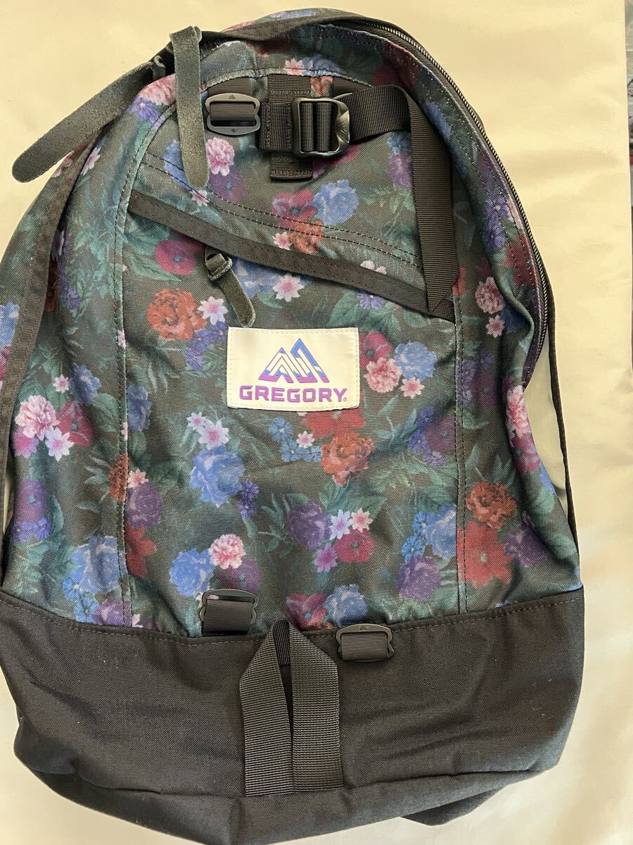 GREGORY×BEAMS BOY ナイスデイ　ダークガーデン　22L