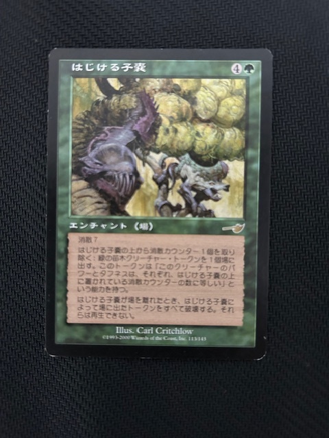 MTG　はじける子嚢　日本語版　1枚まで